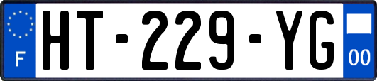 HT-229-YG