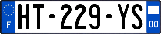 HT-229-YS