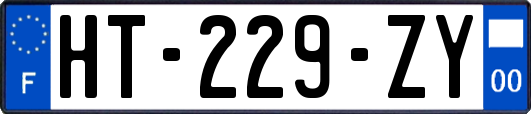 HT-229-ZY