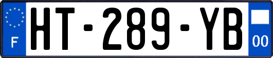 HT-289-YB