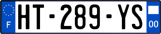 HT-289-YS