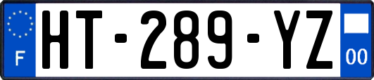 HT-289-YZ