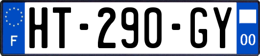 HT-290-GY