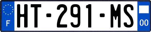 HT-291-MS