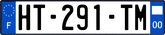 HT-291-TM