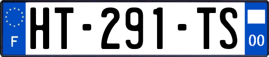 HT-291-TS