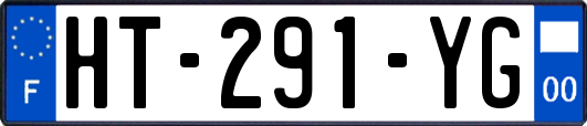 HT-291-YG