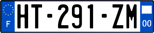 HT-291-ZM