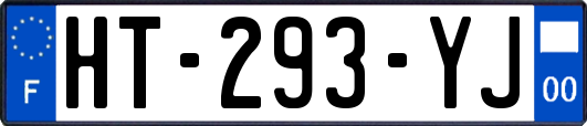 HT-293-YJ