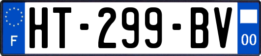 HT-299-BV