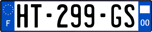 HT-299-GS