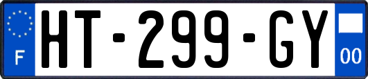 HT-299-GY