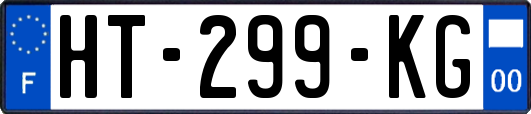 HT-299-KG