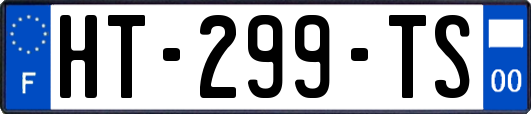 HT-299-TS