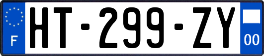 HT-299-ZY