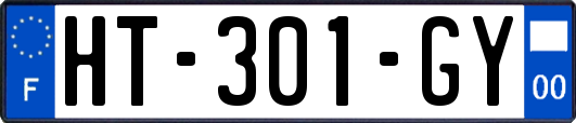 HT-301-GY