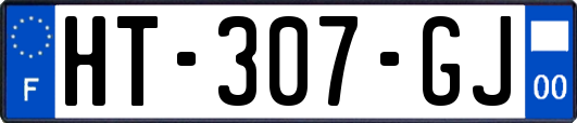 HT-307-GJ