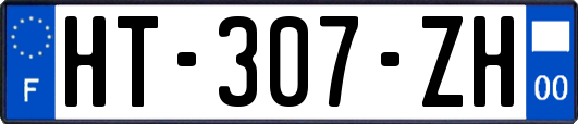 HT-307-ZH