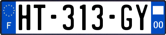 HT-313-GY
