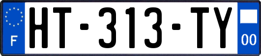 HT-313-TY