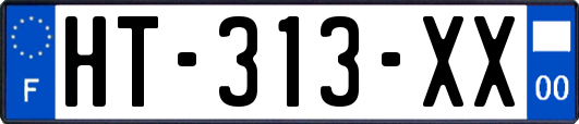 HT-313-XX