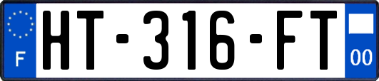 HT-316-FT