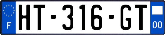 HT-316-GT