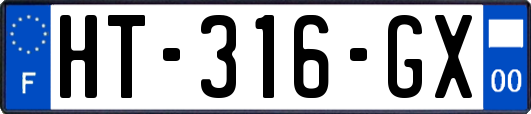 HT-316-GX
