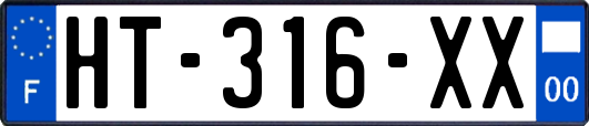 HT-316-XX