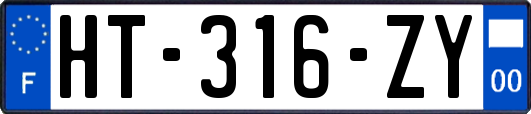 HT-316-ZY