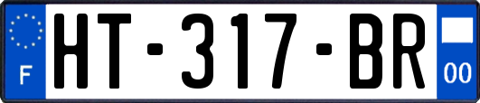 HT-317-BR