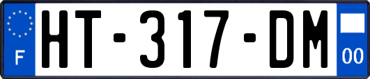 HT-317-DM