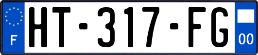 HT-317-FG