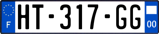 HT-317-GG
