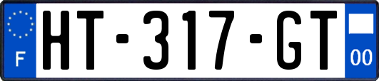 HT-317-GT