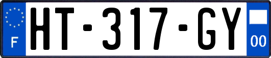 HT-317-GY