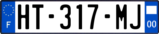 HT-317-MJ
