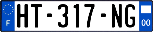 HT-317-NG