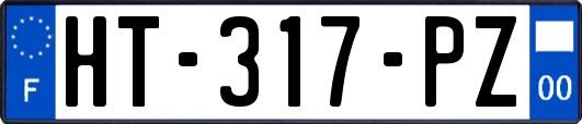 HT-317-PZ