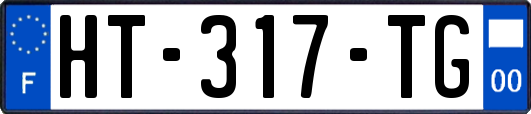 HT-317-TG