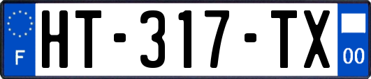 HT-317-TX