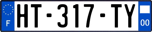 HT-317-TY