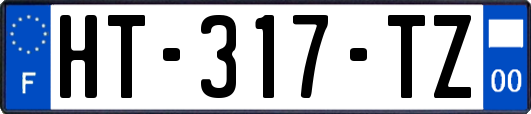 HT-317-TZ