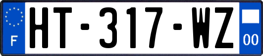 HT-317-WZ