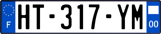 HT-317-YM