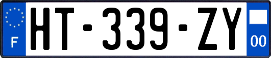 HT-339-ZY