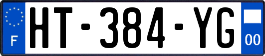 HT-384-YG