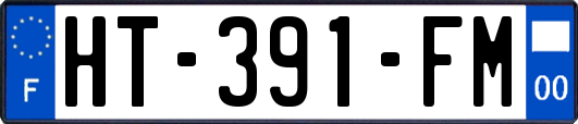 HT-391-FM