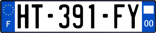 HT-391-FY