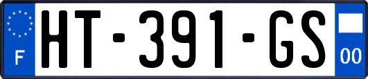 HT-391-GS